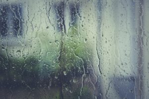 Moisture Protection Concerns: The Effects of High Humidity 